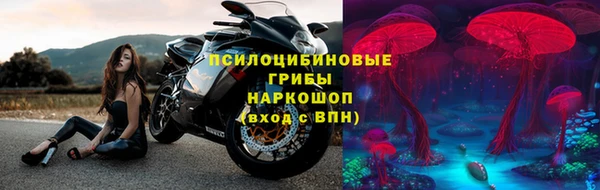 крисы Алексин