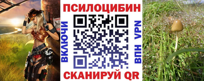 Галлюциногенные грибы мухоморы  наркошоп  Карабаш 